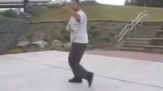 Just a lil Bagua