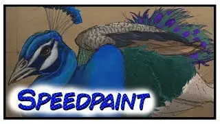 The Lying Peacock {Speedpaint}