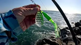 How I Fish Spinners For Salmon On The Jetty