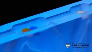 Simple machine may pave the way for more powerful cell phones and WIFI
