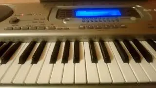 "CASIO WK-3300"