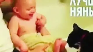 Субханаллох вот почему я люблю кошку 🙄🙄🙄