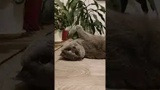 Добрый вечер 🌙 👍 