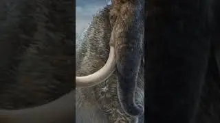 Woolly Rhinoceros and Woolly Mammoth