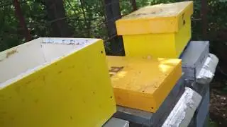 Делаю отводки в семирамочники. 10.07.2019г