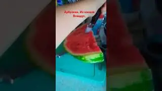 Лежу  арбукина.