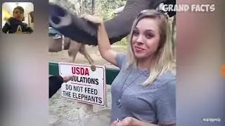 Попробуй не засмеятся челлендж