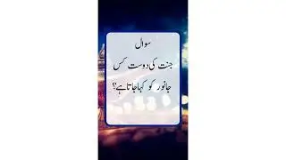 Swal jawab in urdu |#shirts