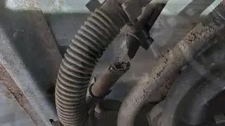 2003 Toyota Tacoma Evap Canister Repair