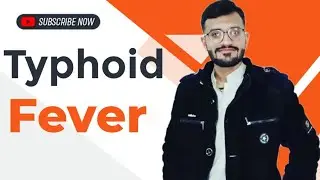 What causes Typhoid? Risk, Symptoms, Complication,test & Diagnosis, Treatment, bacteria pathogens