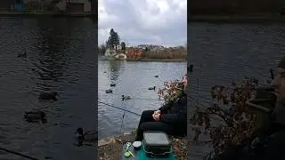 Українська рибалка 🎣🇺🇦