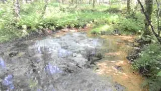 Schwindequelle