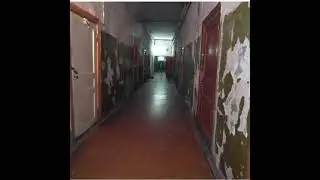 #остановите мир#