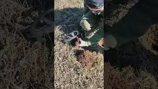 Приятная находка посреди случайного поля! 
