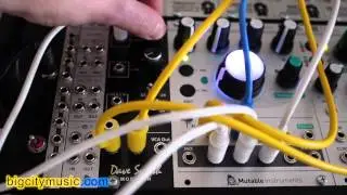 Dave Smith Instruments DSM01 Curtis Filter module eurorack