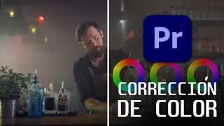 Quick Guide to COLOR CORRECTION in Adobe Premiere Pro 2025