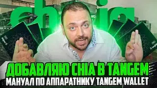 Добавляю Chia в Tangem | Мануал по аппаратнику Tangem Wallet