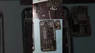 Замена микрофона iPhone 11 Pro Max