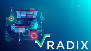 What is RADIX? -XRD Explained #radix #xrd #xrdtoken