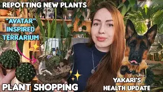 Lots of planty stuff - plant shopping, repot new cacti, terrarium with Orchids inspired by Avatar 🪼