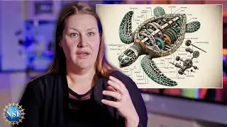 What is a Robot? | EXPLAINED | Mechanical Engineer Rebecca Kramer-Bottiglio