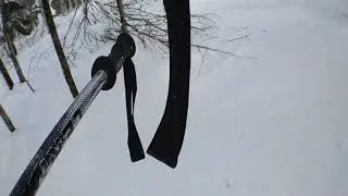 Губаха20205