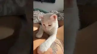 На его месте...
