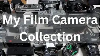 My Film Camera Collection 2024