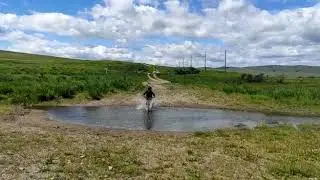 Матвей штурмует водную преграду
