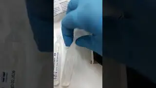 Хлоргекседин в удобных пластиковых ампулах