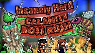 Terraria Calamity All Boss Rush Attempt