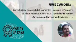 #PratasdaCasa 11 - Márcio D'Arrochella