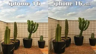 Iphone 16 Vs Iphone 16 Pro Camera Test Comparison
