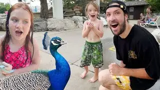 MY 36th BiRTHDAY!! Peacock Party 🦚 Adley and Niko plan a Surprise Morning! Swimming & Water Slides!