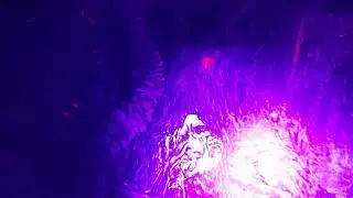 Glowy Crimson Defilement