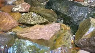 Melodious BURBLING of the stream // @ratiana