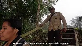 Conservación Los Amigos | #Sernanp