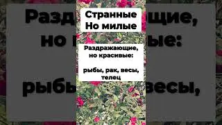 #знак #зодиака #астрология #астролог #знакзодиака #козерог #близнецы #овен #лев #стрелец #весы