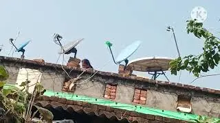 19 नवंबर 2024
