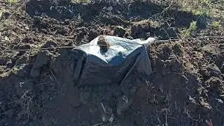 новые изменения теперь в виноградарстве.