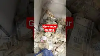 success in stock market #shortvideoviral #profit #trading #stockmarket #ytshorts #trendingshorts