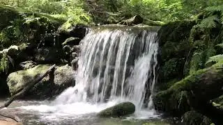 Jeseníky - Medvědí skála 14. 7. 2024