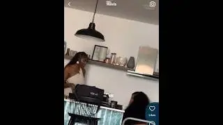 The Malachi South London girl & the host BEEFING after the interview 🤣