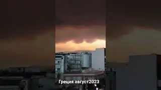 23 августа 2023 г.