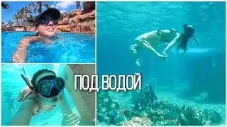 РАЙ ПОД ВОДОЙ 🐠 МОРСКОЙ ПАРК || НЫРЯЕМ ВМЕСТЕ