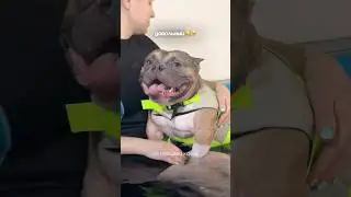 He’s been waiting all week for this!🤭🐾