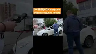 ОЧЕРЕДНОЙ петушок убежал поджав хвост! 