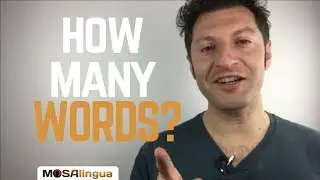 How Many Words Do You Need to Know to Speak a Language?