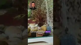Краб Фанта и его аквапарк 😳😱