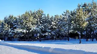 Первый день зимы.